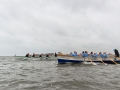 pd1_3936