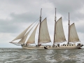 pd1_3951