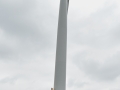 pd1_4001