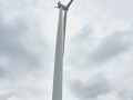 pd1_4003