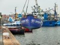 PD2_0673