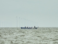 PD2_0955